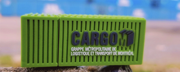 Chargé de projets, sénior - CargoM Chargé de projets, sénior - CargoM